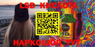 винт Бердск