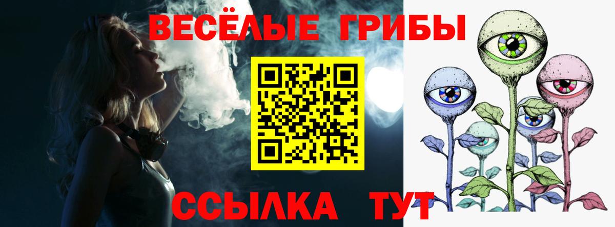 Псилоцибиновые грибы Psilocybe Белореченск